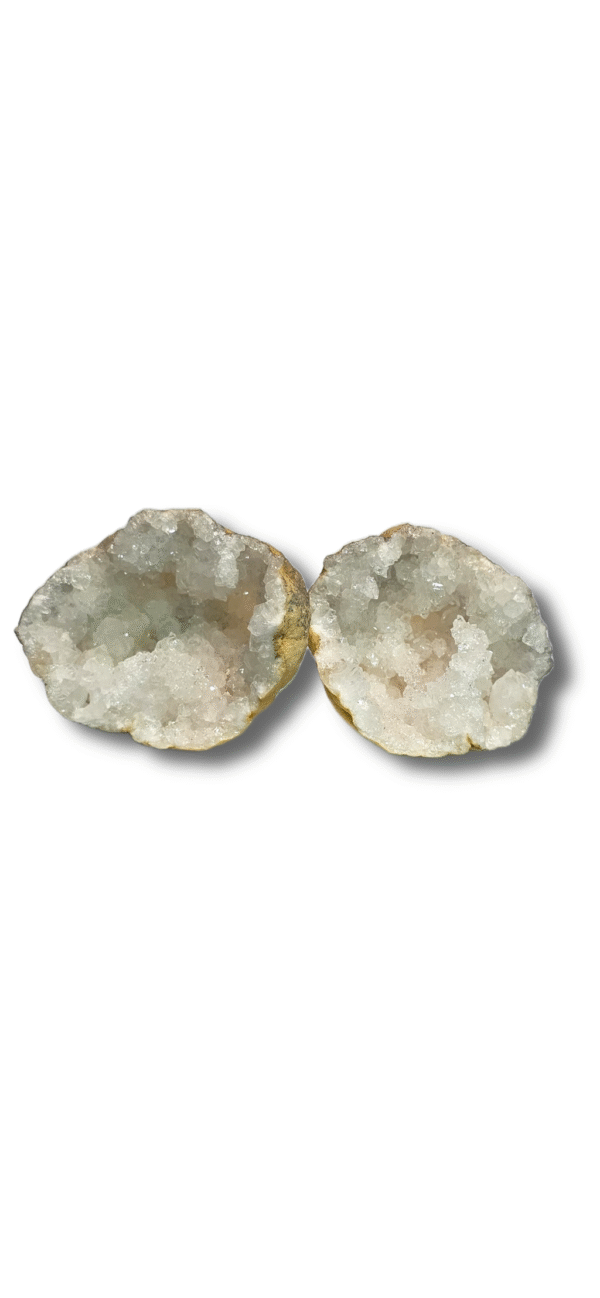005 - Image 4